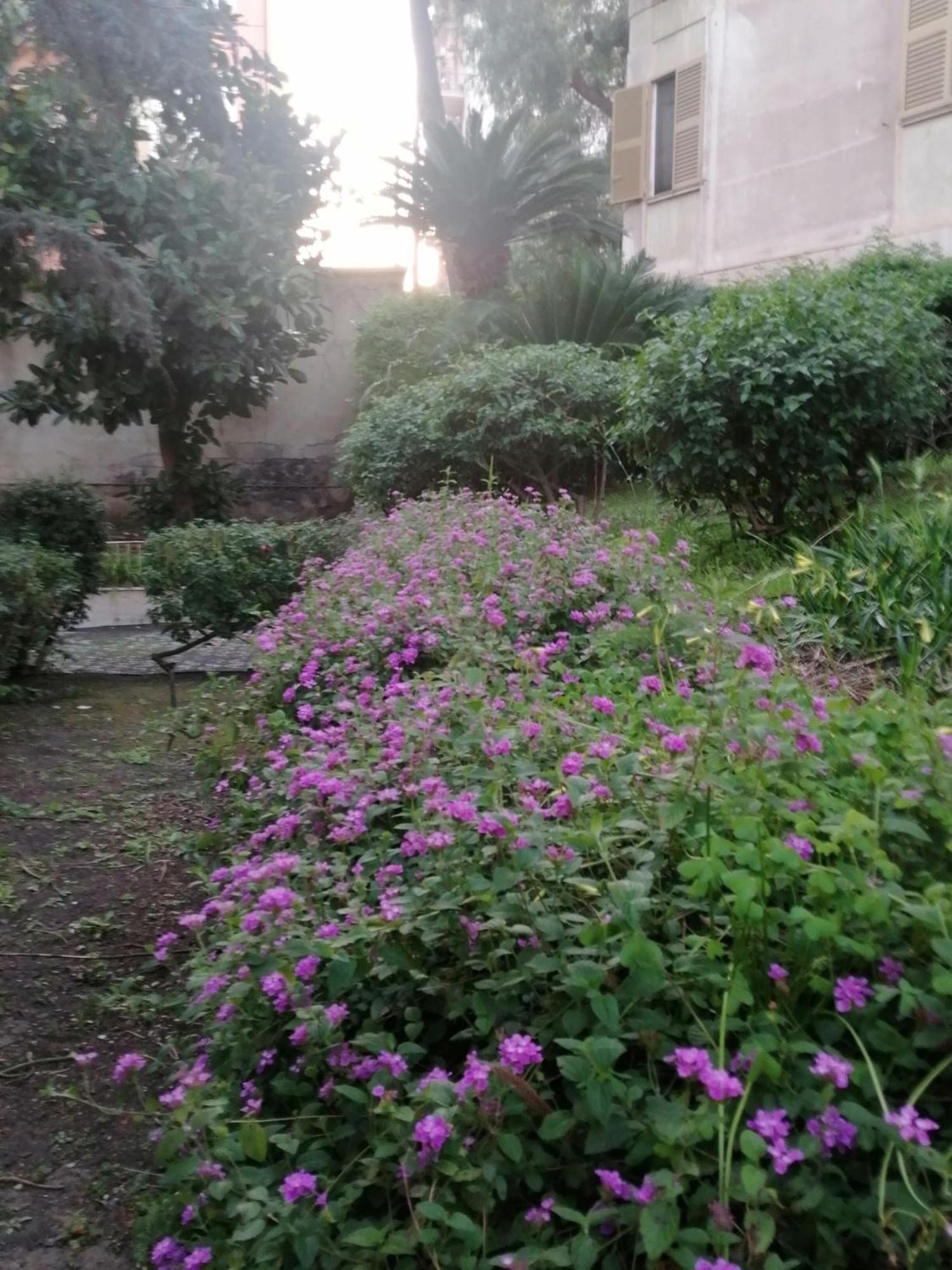 " Domus Coralla" Bnb Racconti Di Viaggio Catania Exterior photo