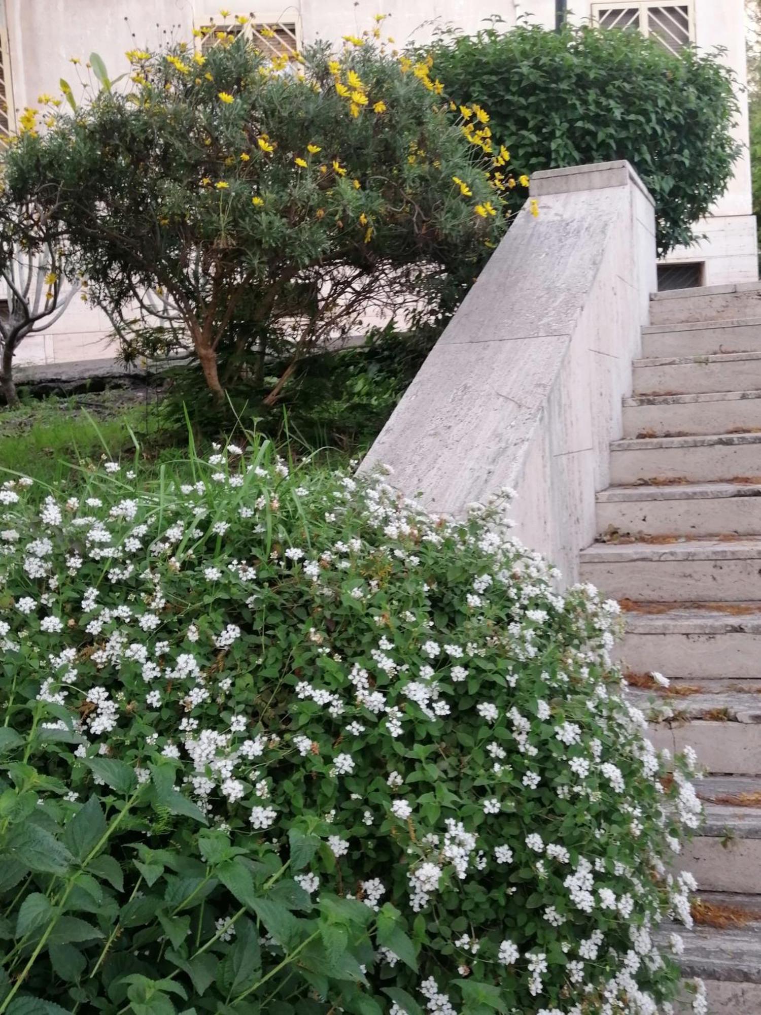 " Domus Coralla" Bnb Racconti Di Viaggio Catania Exterior photo